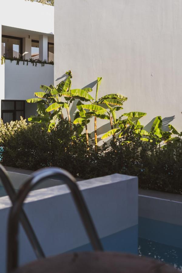 Cavo Vezal (Adults Only) Hotel Laganas Luaran gambar